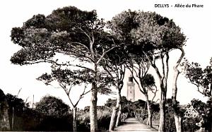 DELLYS - ALLEE DU PHARE